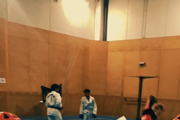 Jornada de Taekwon-Do 4