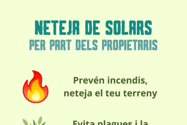 Neteja de solars
