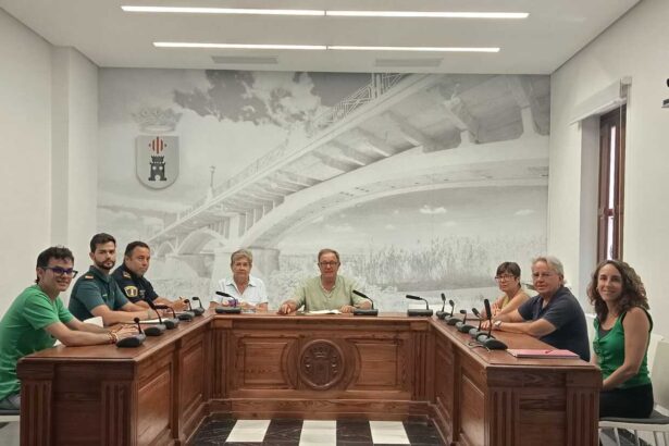 Reunio CECOPAL Castelló