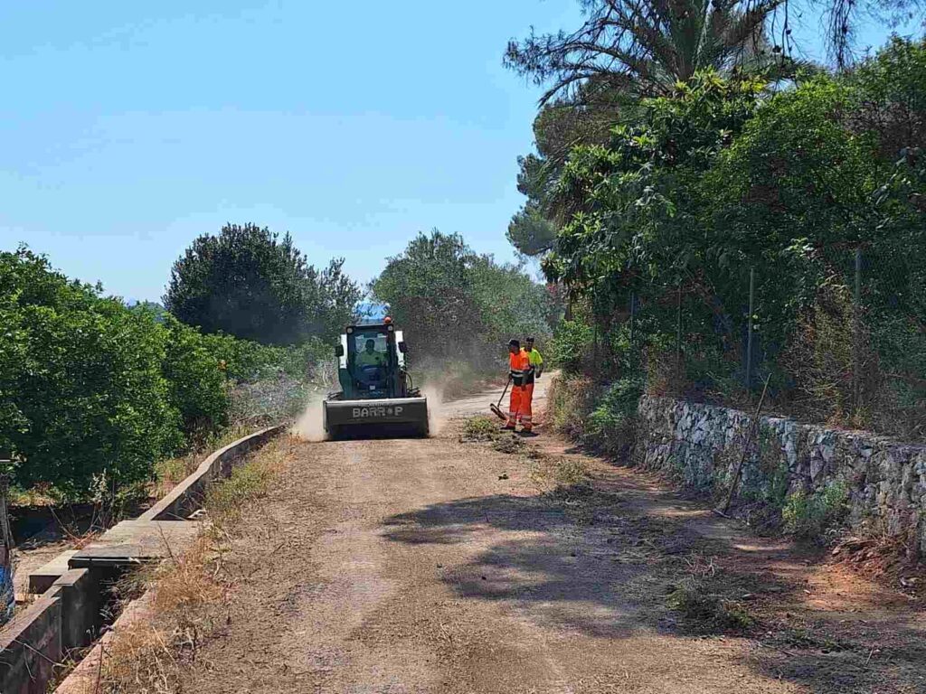 Millora Camí Carrasca 1