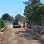 Millora Camí Carrasca 2